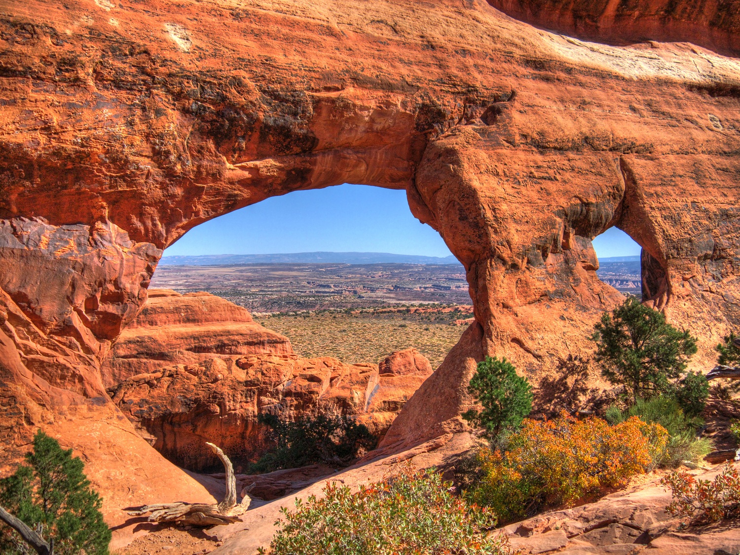 Partisans Arch Partition arch - billoviet